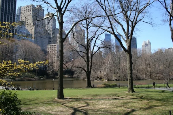 TTT-New-York-Day-4-5