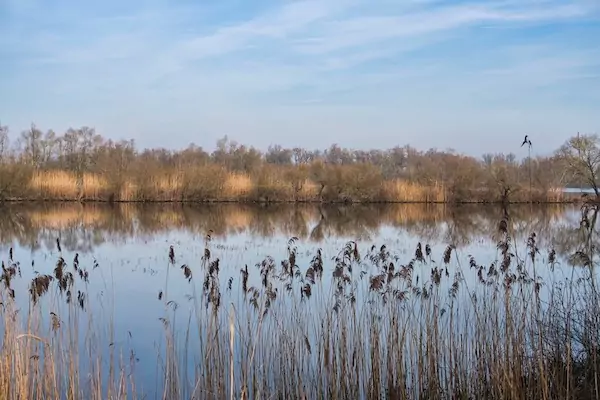 SP11 Olst to Wijhe - Duursche Waarden