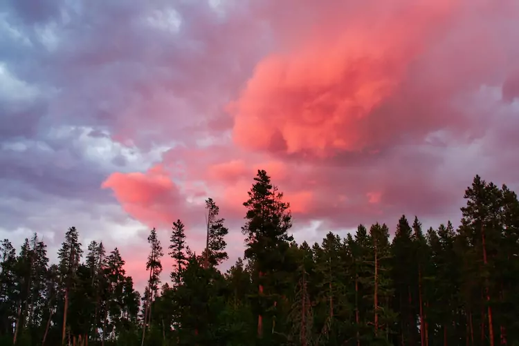 Yellowstone NP - Sunset