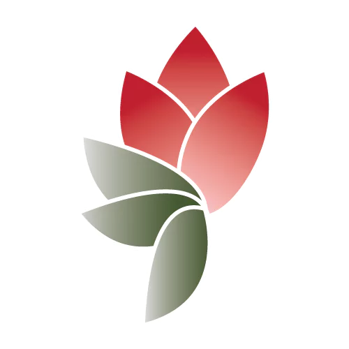 thetravelingtulip