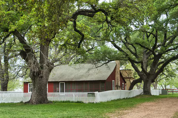 TTT-LBJ-Ranch-NHP-Stonewall-TX-03