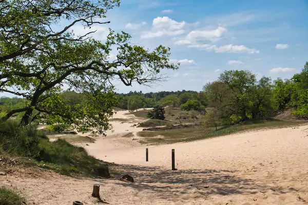 TTT-Loonse-and-Drunense-Dunes-04