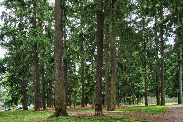 Alberta Park, Portland, OR