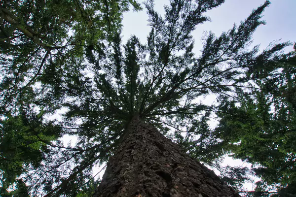 Alberta Park, Portland, OR