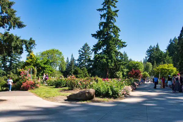 The International Rose Test Garden