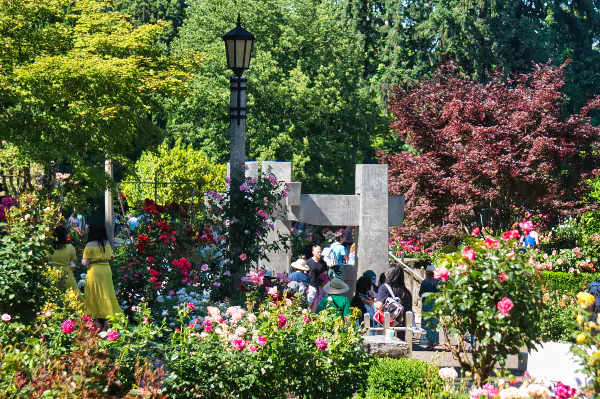 The International Rose Test Garden