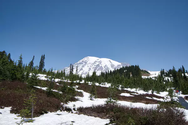 Mount Rainier