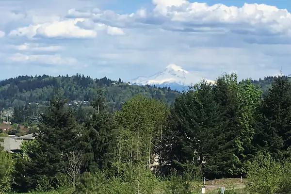 Powell Butte Nature Park - View Mpunt Hood