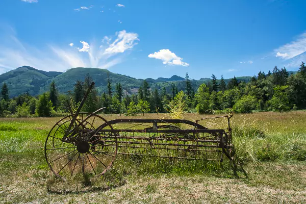 Farm Art