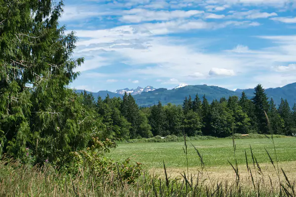 View Cascades