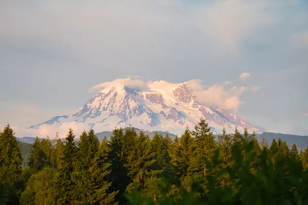 Monarch of the Cascades