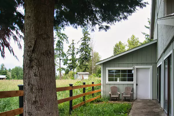 Our Airbnb in Eatonville, WA