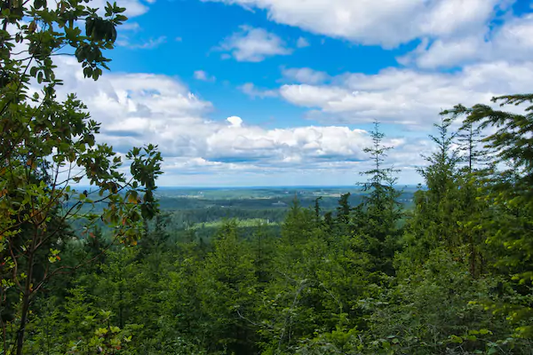 Hugo Peak Trail View