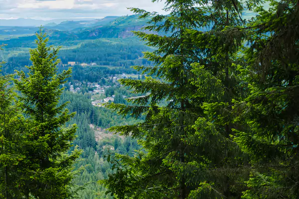 Hugo Peak Trail View Eatonville