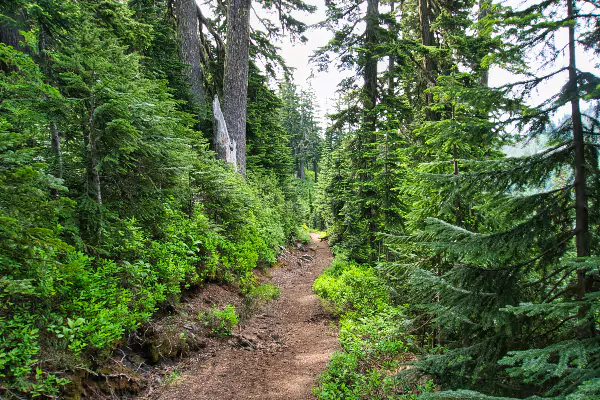 Lake Ann Trail