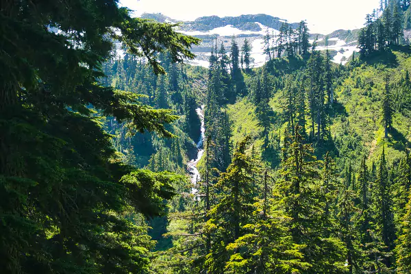 Waterfall from Heather Meadows