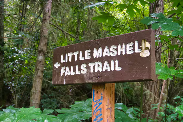 Little Mashel Falls Trail