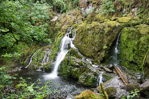 Lower Falls