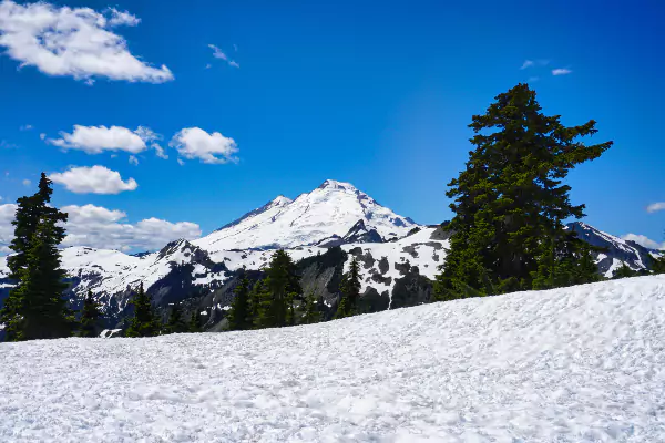 Snow-covered Trails