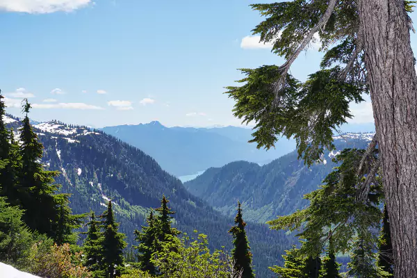 View from Mount Baker