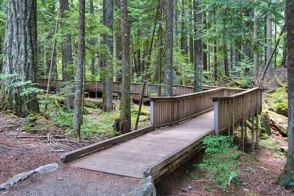 Accessible Boardwalks