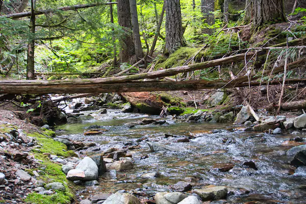 The Happy Creek Bedding