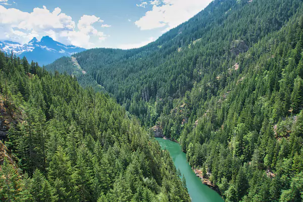 The Skagit River