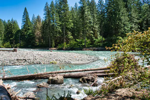 TTT-North-Fork-Nooksack-River-01