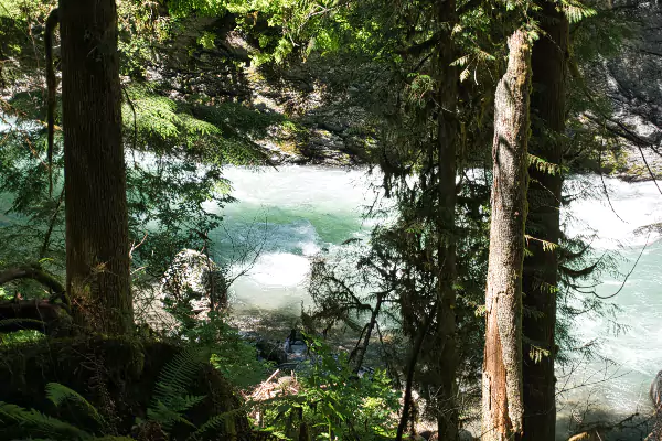 TTT-North-Fork-Nooksack-River-02