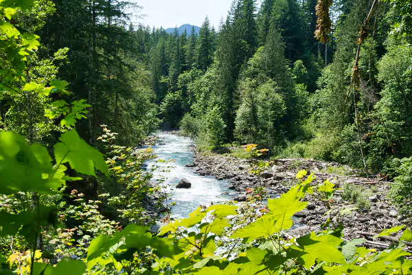 TTT-North-Fork-Nooksack-River-03