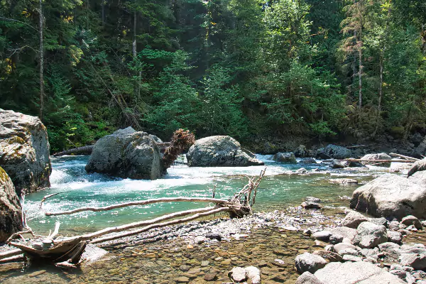 TTT-North-Fork-Nooksack-River-04