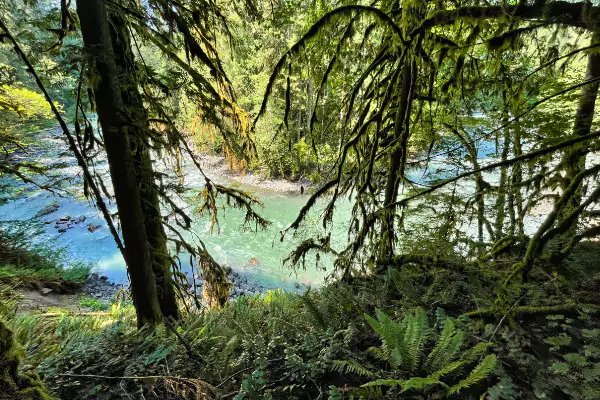 Horse Shoe Bend in The Nooksack River