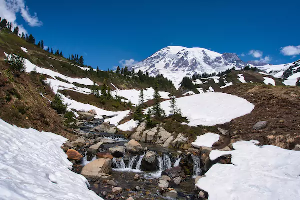 View Myrtle Falls Trail