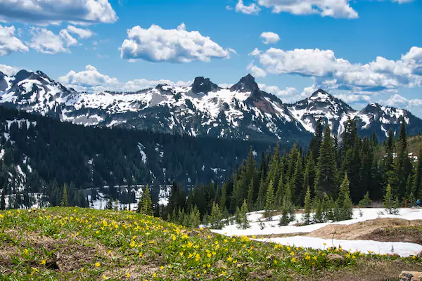 Mesmerizing Mountain Views