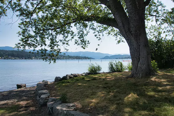 Bloedel Donovan Park