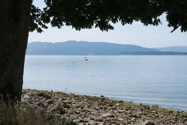 Bellingham Bay