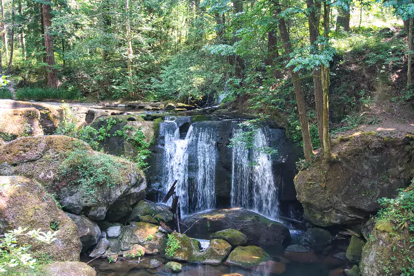 Whatcom Falls Park