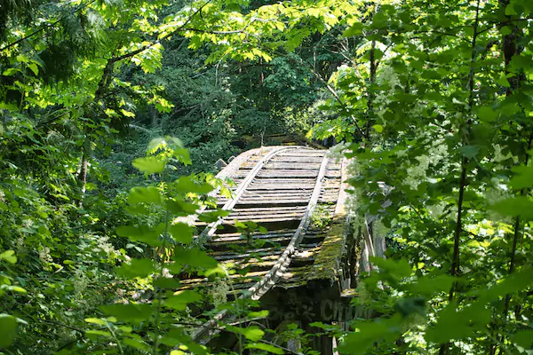 Abandoned Railway