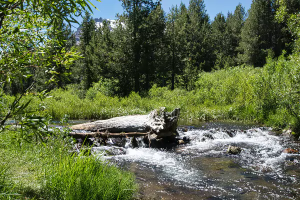 TTT-Lassen-Volcanic-NP-Hat-Creek-Viewpoint-02