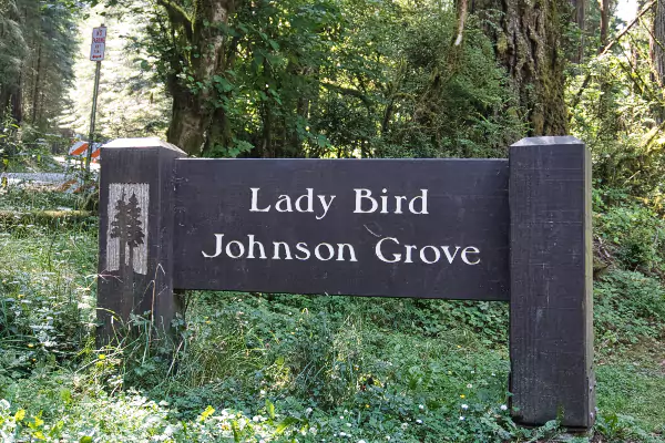 TTT-Lady-Bird-Johnson-Grove-01