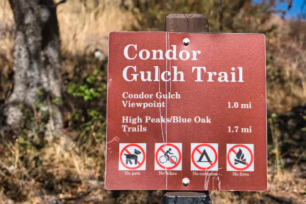 TTT-Condor-Gulch-Trail-01