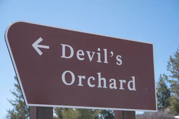 TTT-Devils-Orchard-02