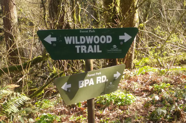 TTT-Forest-Park-Wildwood-Trail-01