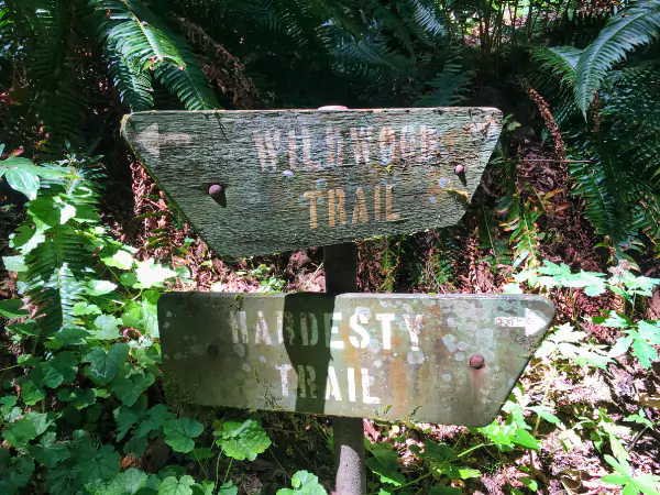 TTT-Forest-Park-Wildwood-Trail-Leg2-01