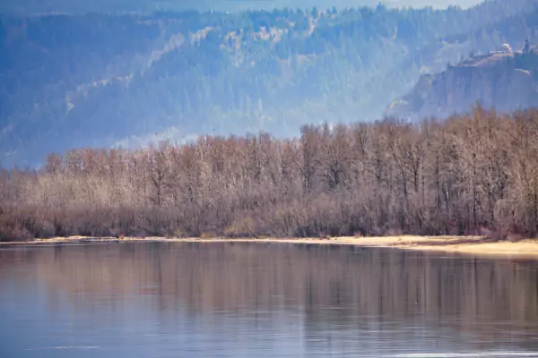 TTT-Steigerwald-Lake-Columbia-River-04
