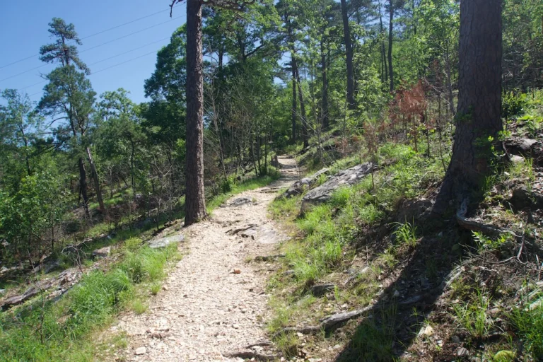 TTT-Hot-Springs-NP-North-Mountain-01