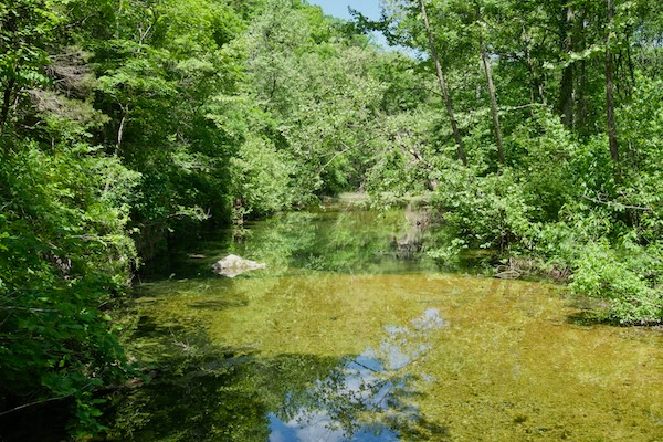 TTT-Round-Spring-Cave-Ozark-NSR-03