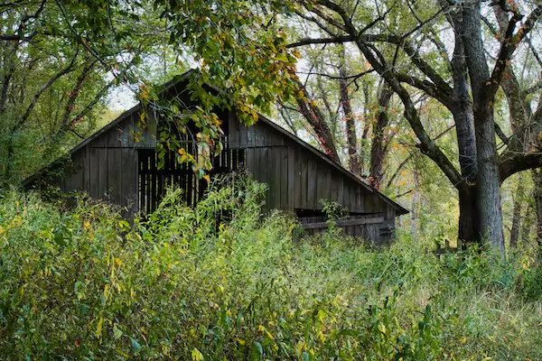 TTT-Boxley-Valley-Buffalo-National-River-Arkansas-04