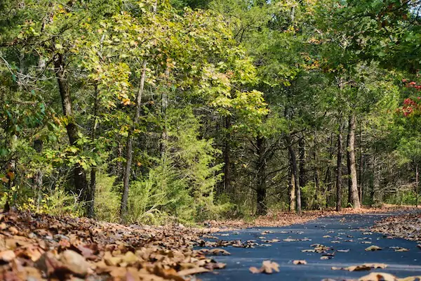 TTT-Bull-Shoals-White-River-SP-Heritage-Habitat-Trail-01