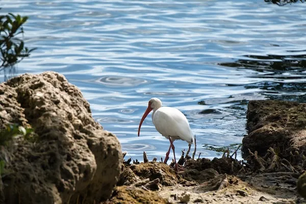 TTT-Biscayne-National-Park-DA-04